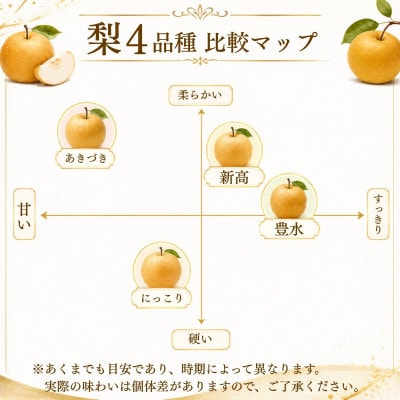 新高 梨 5kg 8～12玉 予約受付 梨 なし 甘い かすみがうら市