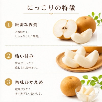 にっこり 梨 5kg (8～12玉)【2026年発送】かすみがうら市