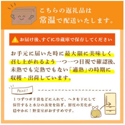 にっこり 梨 5kg (8～12玉)【2026年発送】かすみがうら市