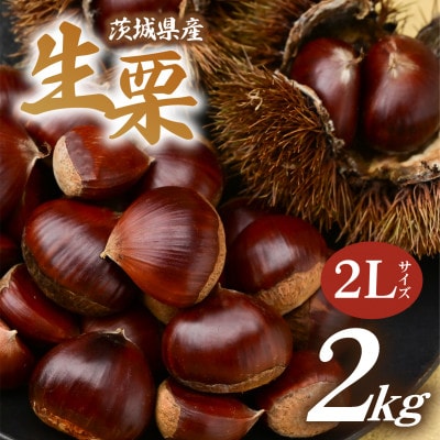 千代田のこだわり生栗 2kg 和栗 2Lサイズ | 茨城県 かすみがうら市