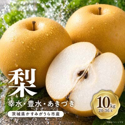 【8月上旬より順次発送予定】茨城県かすみがうら市産梨　品種おまかせ 約10kg