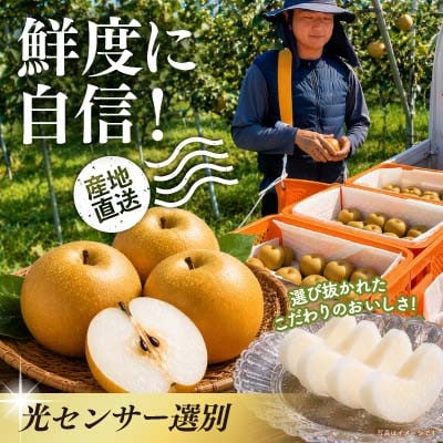 【8月上旬より順次発送予定】茨城県かすみがうら市産梨　品種おまかせ 約10kg