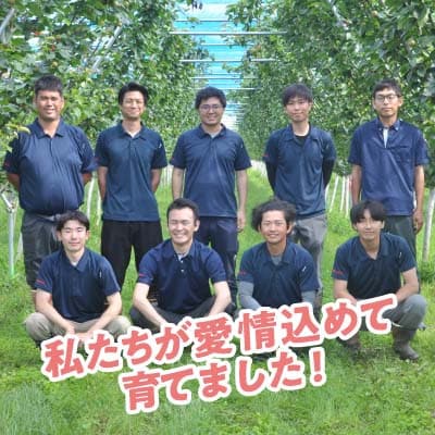【8月上旬より順次発送予定】茨城県かすみがうら市産梨　品種おまかせ 約10kg