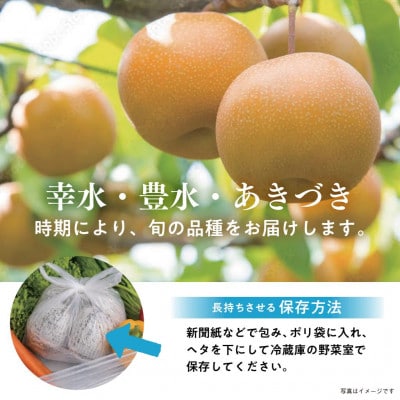 【8月上旬より順次発送予定】茨城県かすみがうら市産梨　品種おまかせ 約10kg