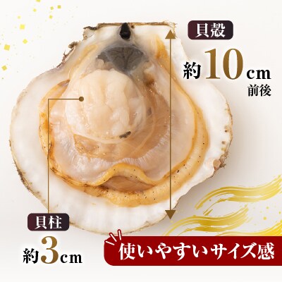 ＼漁業者応援品/片貝ほたて10枚×2P A-14134