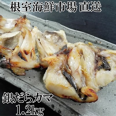 銀だらカマ1.2kg G-11008
