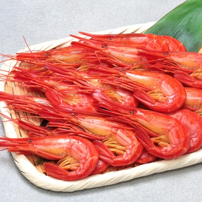 【北海道根室産】北海しまえび400g(19～24尾) A-06010