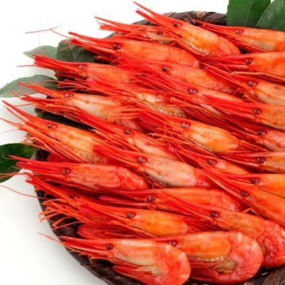 【北海道根室産】しまえび400g(25～37尾)×2P B-24003