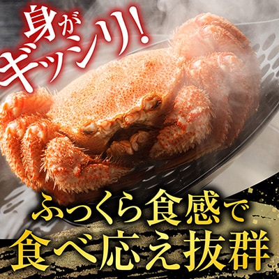 ボイル毛がに700～900g×2尾(堅蟹) D-11054