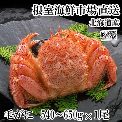 ボイル毛がに540～650g×1尾(堅蟹) B-14123