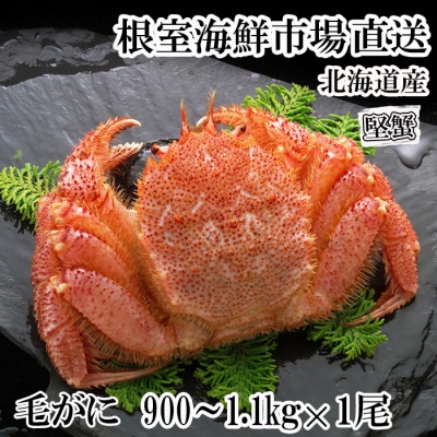 ボイル毛がに900g～1.1kg×1尾(堅蟹) F-14029