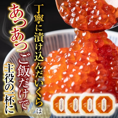  海鮮詰め合わせ(たらばがに・ずわいがに・いくら) D-28046