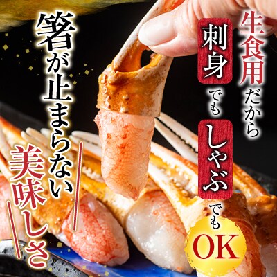 生食用本ズワイガニ爪ポーション1.2kg B-11086