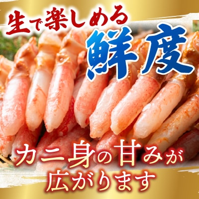生食用本ズワイガニ爪下棒肉ポーション600g A-14236