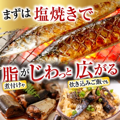 タラバガニむき身300g・冷凍さんま5尾×5P C-76050