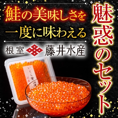 ＜鮭匠ふじい＞鮭味覚尽くし B-42007
