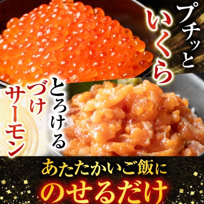 ＜鮭匠ふじい＞いくら・サーモンづくし B-42016