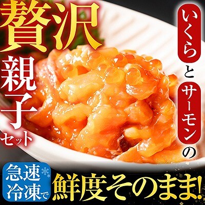 ＜鮭匠ふじい＞いくら・サーモン親子丼の具 C-42012