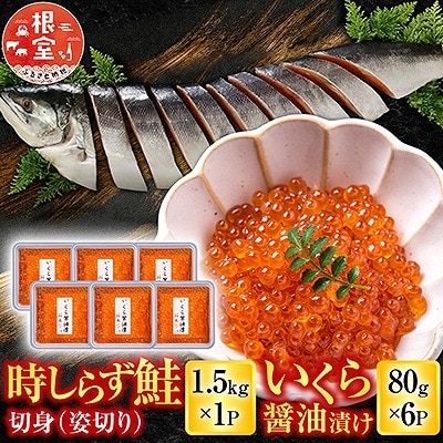 時しらず鮭1.5kg×1P・いくら醤油漬け80g×6P D-42067