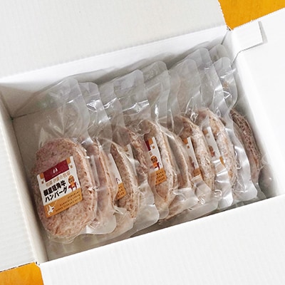 【北海道根室産】短角牛ハンバーグ100g×10P A-13024