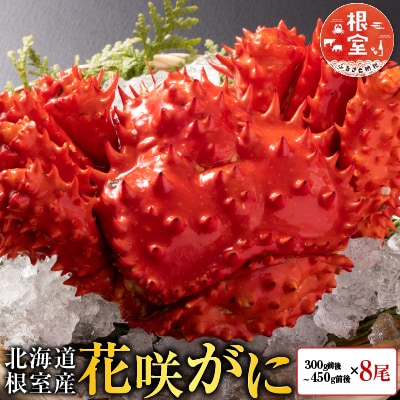 【北海道根室産】花咲かに300g前後～450g前後×8尾 C-30005