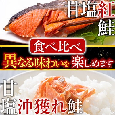 甘塩紅鮭5切×2P、甘塩沖獲れ鮭5切×2Pセット A-36007