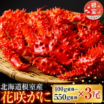 【北海道根室産】花咲かに400g前後～550g前後×3尾 A-36029