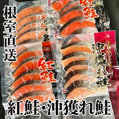 甘塩紅鮭5切×6P、甘塩沖獲れ鮭5切×6P C-36004