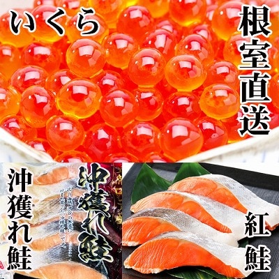 甘塩紅鮭5切×10P、甘塩沖獲れ鮭5切×10P、いくら醤油漬け100g×5P E-36002