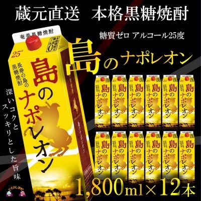 【蔵元直送便】本格黒糖焼酎　島のナポレオン1,800mlパック×12本
