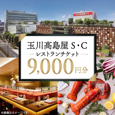 世田谷区ふるさと納税限定　玉川高島屋S・Cレストランチケット(9,000円分)【高島屋選定品】