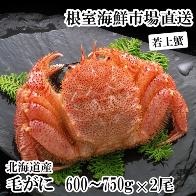 ボイル毛がに600～750g×2尾(若上蟹) F-14033