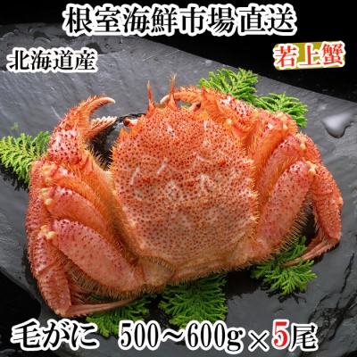 ボイル毛がに500～600g×5尾(若上蟹) D-14065