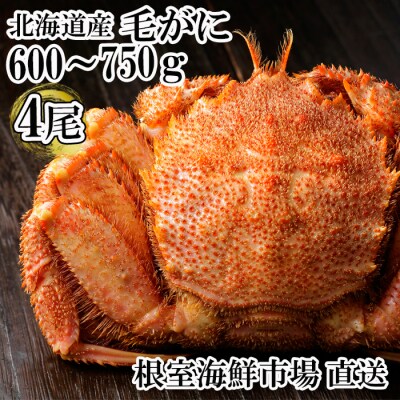 根室海鮮市場＜直送＞ボイル毛がに600～750g×4尾(若上蟹) D-28065
