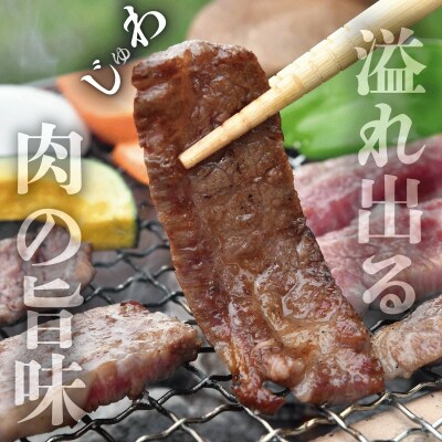 多気郡産 松阪牛 バラ 焼肉用 600g E2366