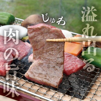 多気郡産 松阪牛 ロース 焼肉用 500g E2369