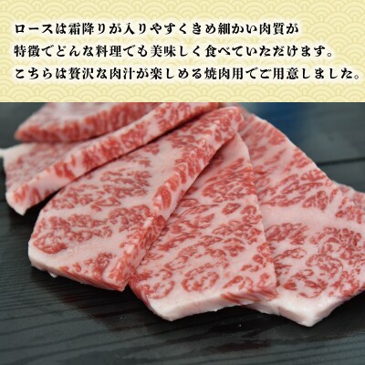 多気郡産 松阪牛 ロース 焼肉用 500g E2369