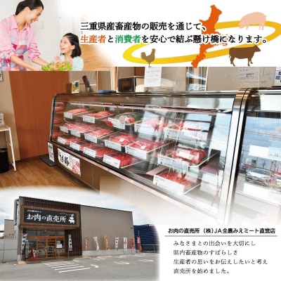 多気郡産 松阪牛 ロース 焼肉用 500g E2369