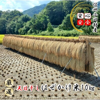 小川村自慢のはぜかけ米10キロ*401