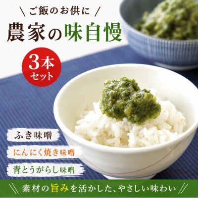 小川の庄　農家の味自慢3本詰合せ*231
