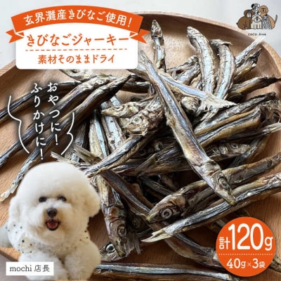 きびなごジャーキー40g×3袋 糸島市/株式会社コバヤシ【coco.kina[ASL009]