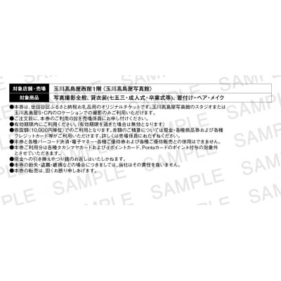 玉川高島屋写真館チケット(10,000円分)【高島屋選定品】