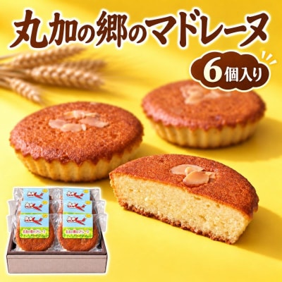 丸加の郷のマドレーヌ 6個入り 個包装|北海道 バター 焼き菓子 個包装 スイーツ 贈り物 ギフト