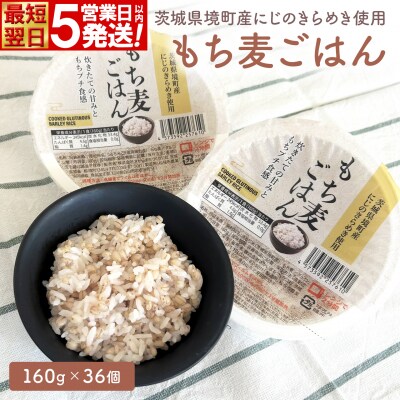 【最短翌日発送】茨城県境町産 にじのきらめき 使用 もち麦ごはん 160g×36個