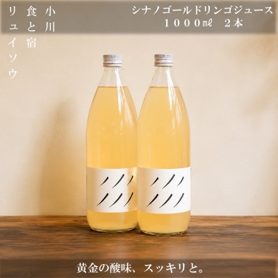 シナノゴールドリンゴジュース 1L 2本*271