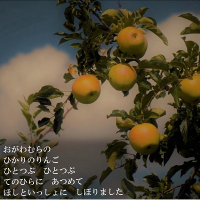 シナノゴールドリンゴジュース 1L 2本*271