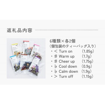 クラフトハーブティー daytune. tea ライトセット (6種類×2個)  ティー 紅茶