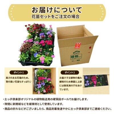 季節の花苗24セット【価格改定】