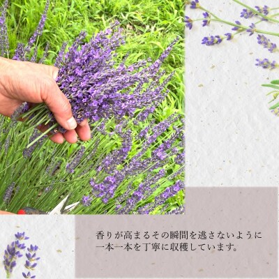 ラベンダーオイル(おかむらさき)5ml&ウッドディフューザーセット*261