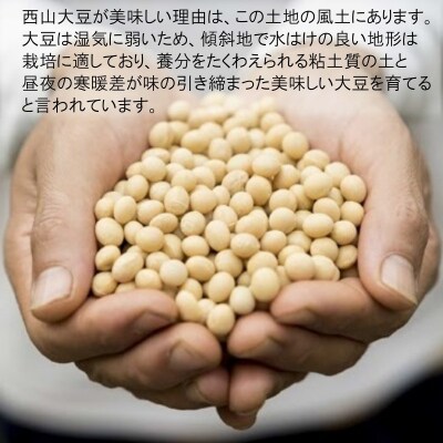 麦ダンス農園の大豆がテンペになりました　1000g*281